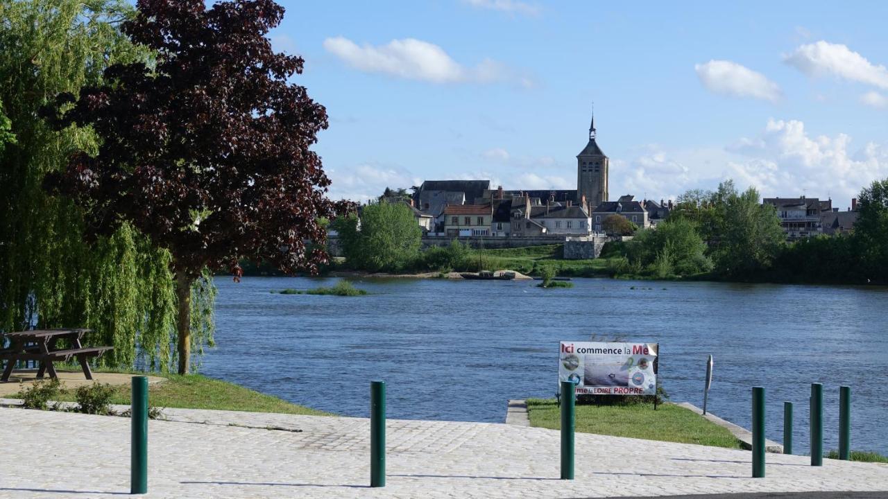 Saint-Denis-de lʼHôtel La Vue Loire Appartement מראה חיצוני תמונה